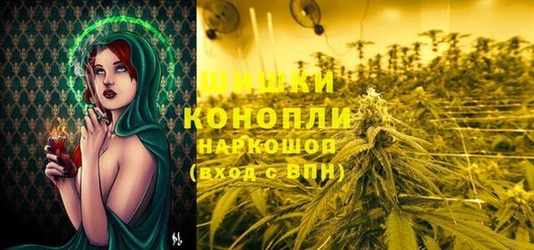 крисы Осташков