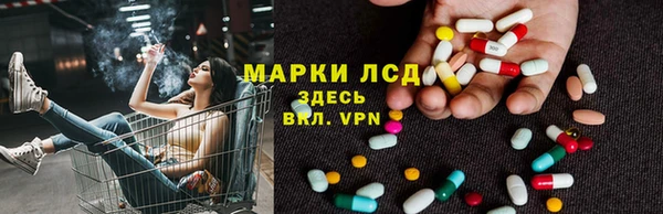 крисы Осташков
